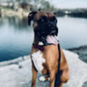 Meet your Posher, Riley